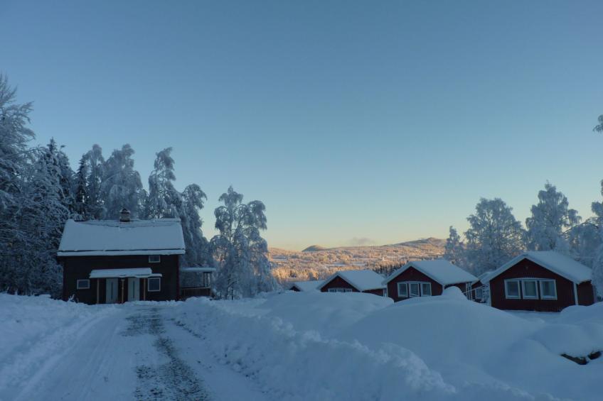 Ferientagheim Hammarstrand - foto 18