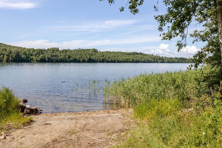 Sjödrömmen - foto 22