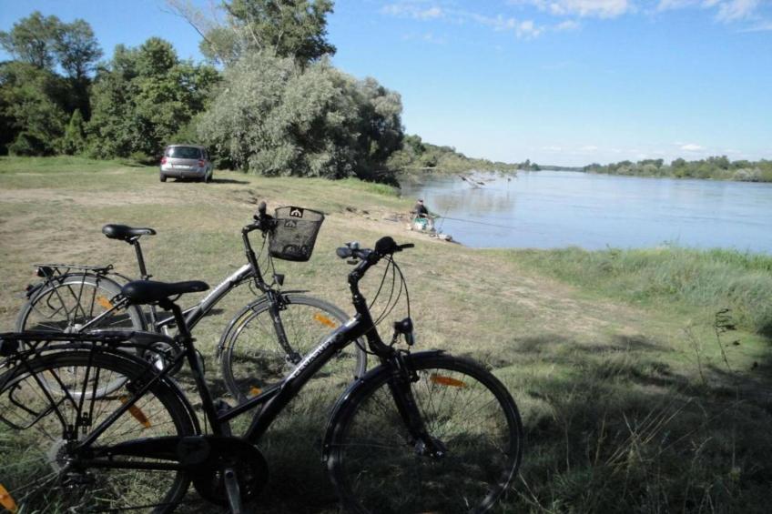 Maison de vacances - CHILLEURS-AUX-BOIS - foto 34