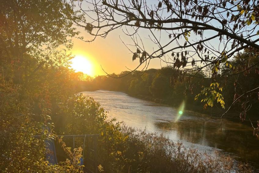 Apfel-Häuschen - foto 43