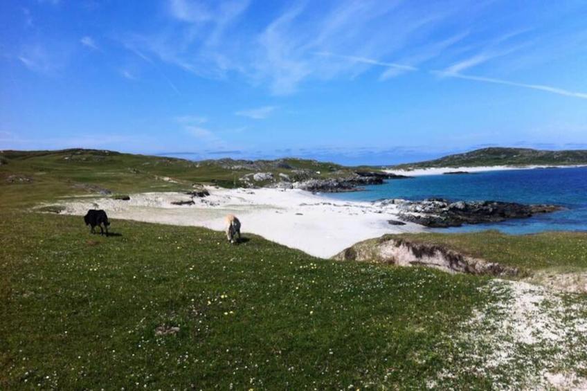 Maison à Ballyconneely Galway - foto 37