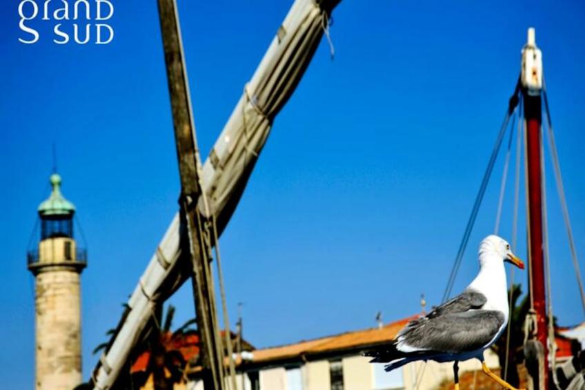 Résidence Tranquillité Bleue 1 Appartement Vue Mer En Duplex 1 Chambre 1 Mezzanine - foto 29