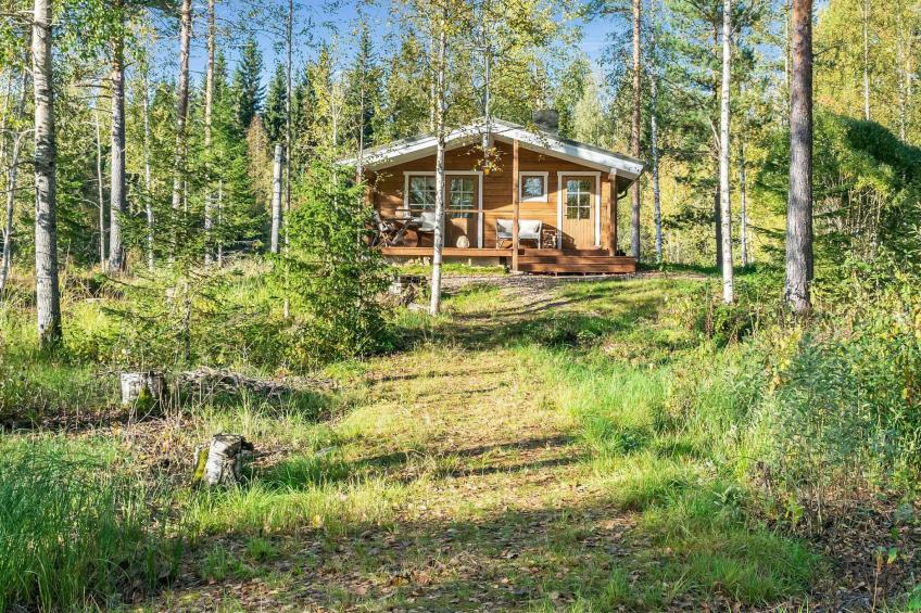 Niemenkärki, vaikon loma ja lohi - foto 4