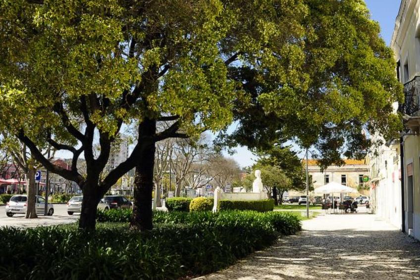 Sado Blue City&River Flats - Gal&aacute-pos - foto 22