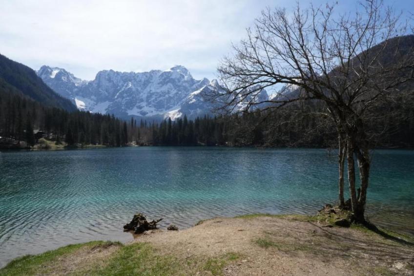 La Dacia Quattro - foto 38
