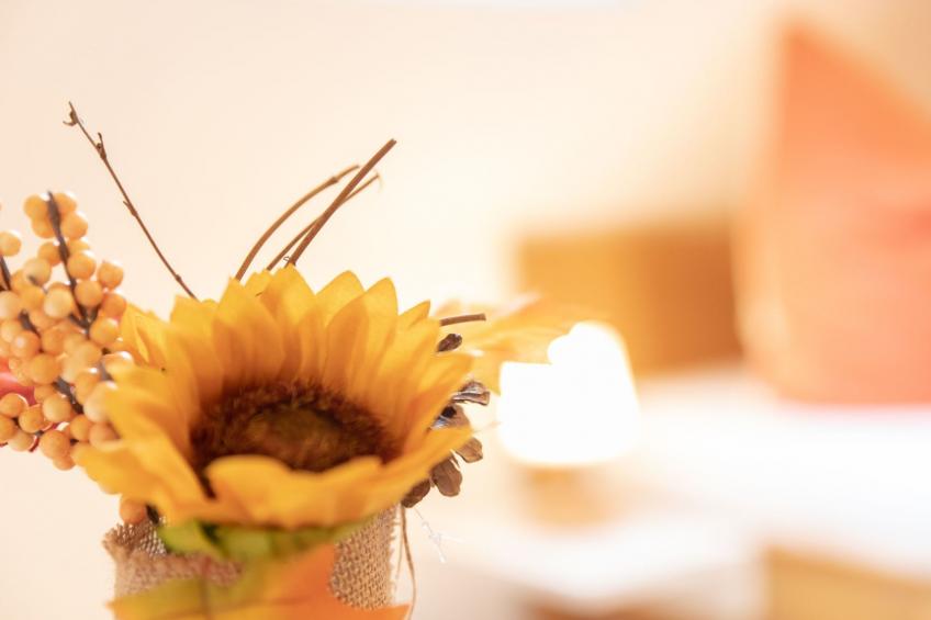 Große Ferienwohnung in Stubenberg am See mit GenussCard - foto 13