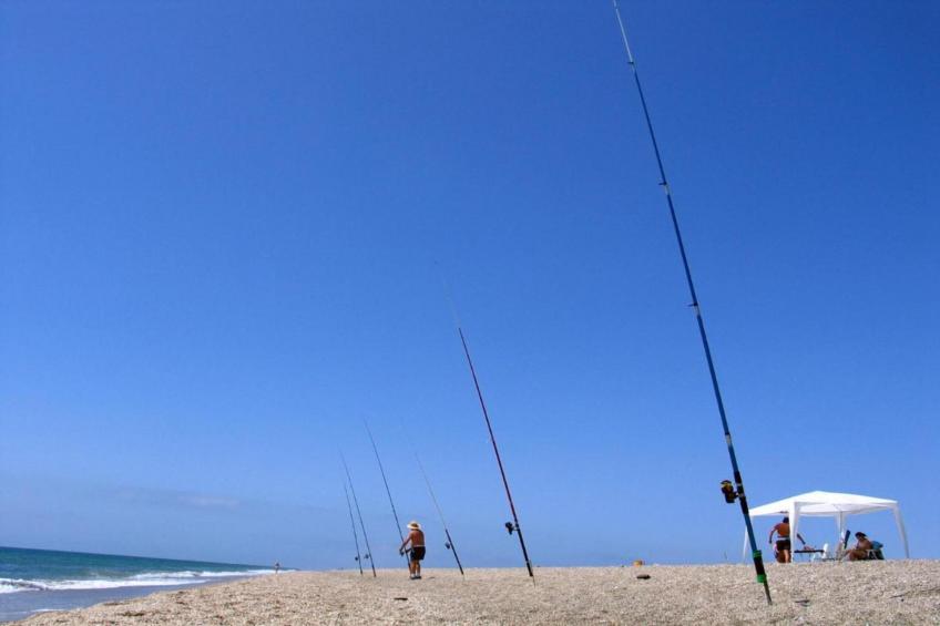 Los Flamencos - foto 37