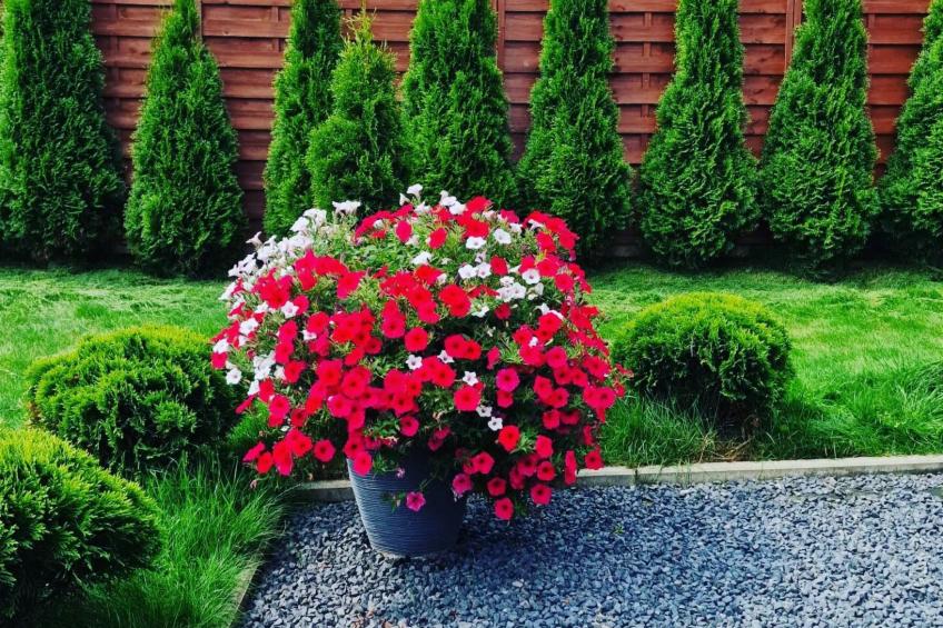 mit Entspannung im Jacuzzi - foto 35