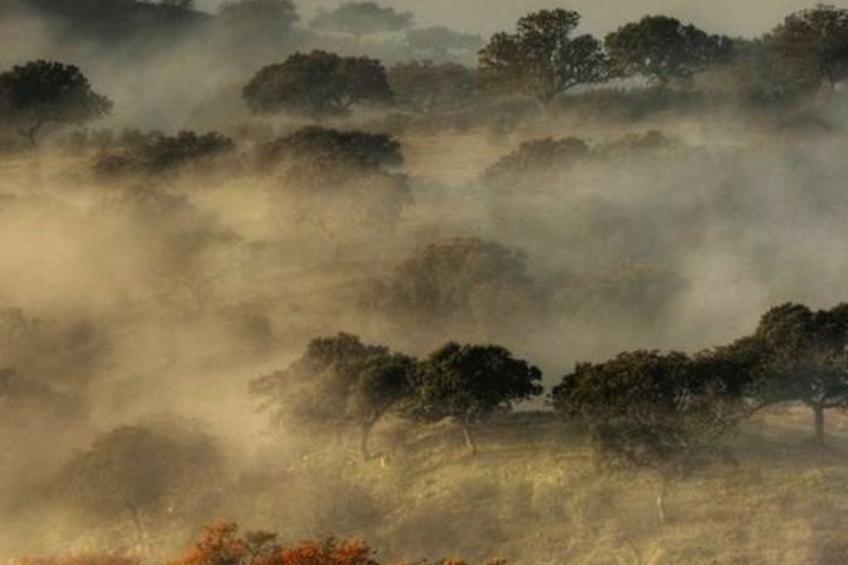 Das Cortijo auf der Finca al-manzil - foto 37