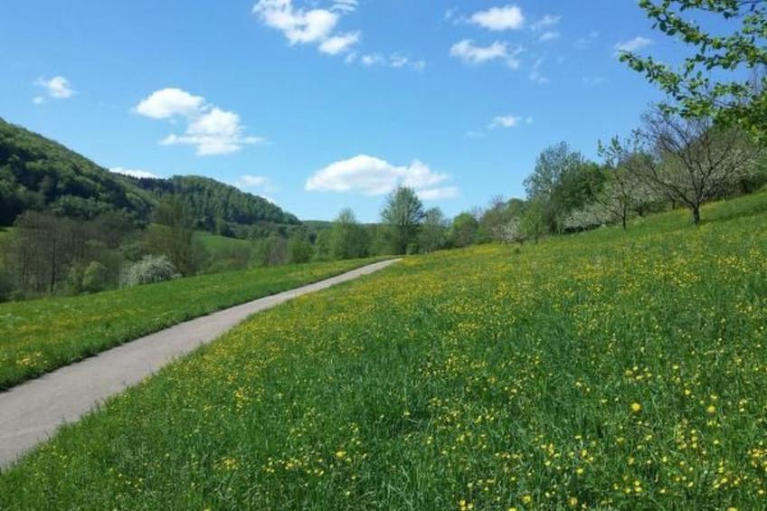 Ferienwohng. Susanne - foto 17