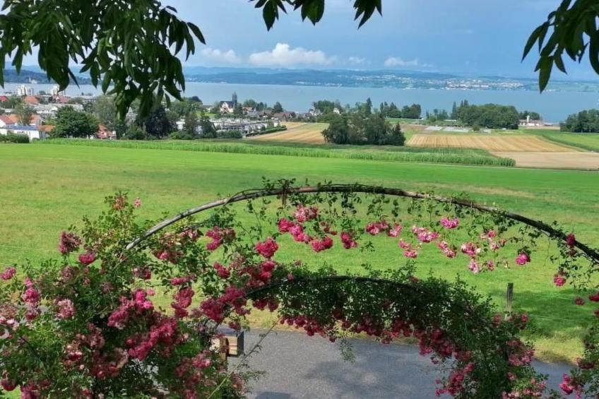 Studio Ferienwohnung - 38 m2- mit Gartennutzung - foto 2