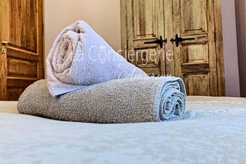 Résidence Aa13 - Le Victor Hugo - Séjour D’exception Dans Un Appartement Historique - foto 43