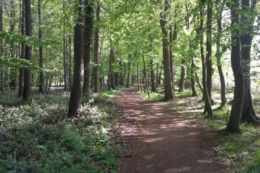 Retro Chalet Nr 3 - foto 11