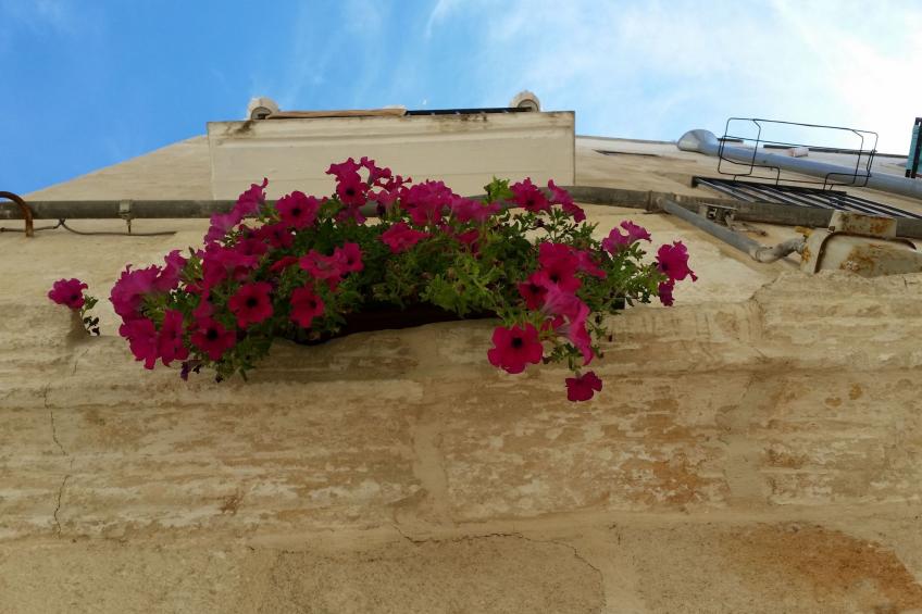 Einladende, kürzlich restaurierte und komfortable Ferienwohnung, im Altstadtzen - foto 21