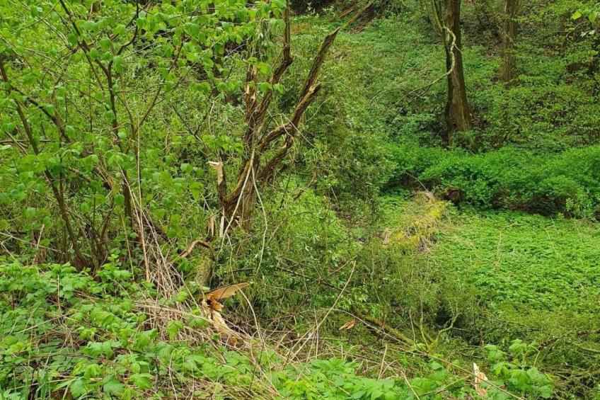 Apartment Gansäcker - foto 17