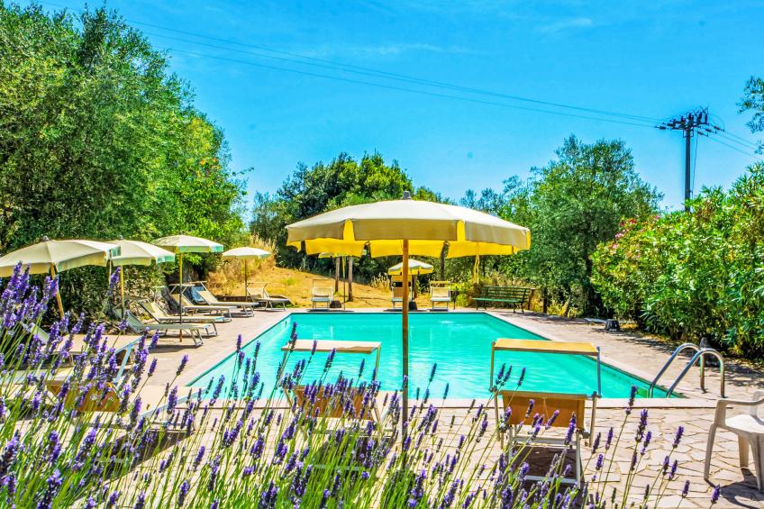 Il Pero di Cetinale - foto 2