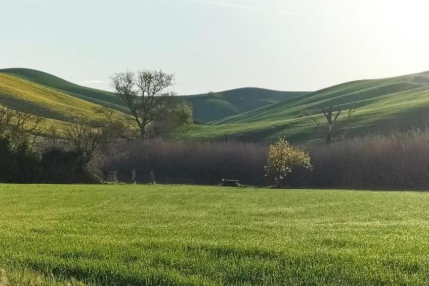 La Casa dei Nonni - foto 39