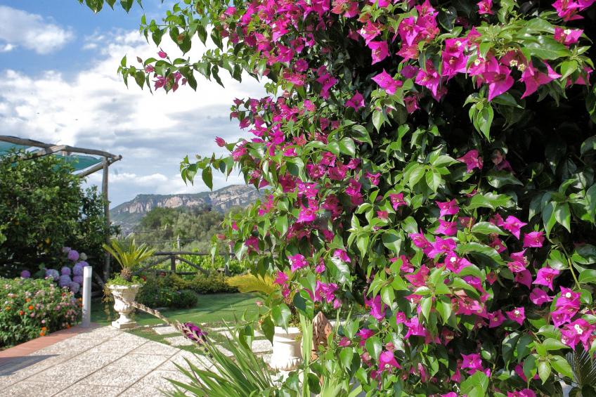 "Villa Flore" Sorrent und Amalfiküste - foto 6