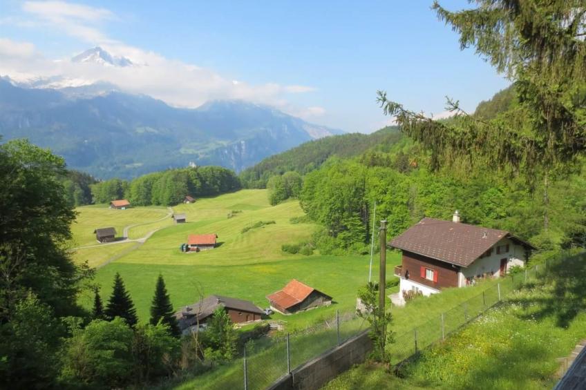 Am Bächli - foto 19
