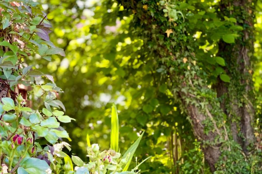 Die Villetta - foto 16