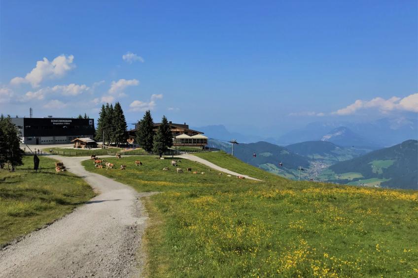 Chalet Wildenbach (WIL150) - foto 50