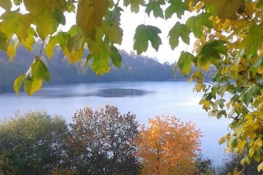 Landhaus Erika - foto 42