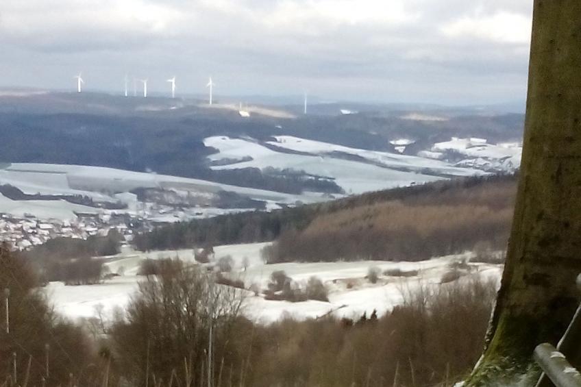 Cat'n'Boots Haus - foto 41