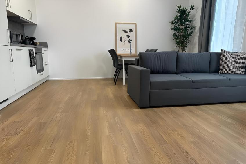 Apartment ARTIC III - foto 2