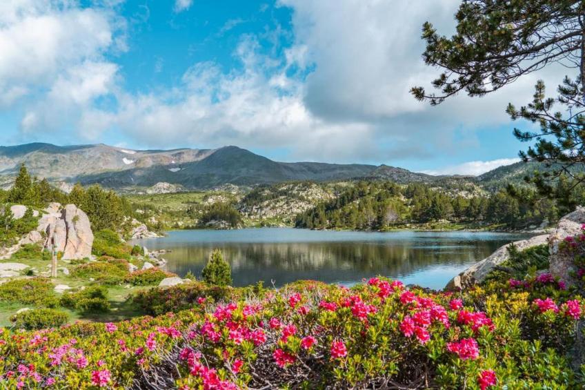 L'Espinet 5 - foto 30