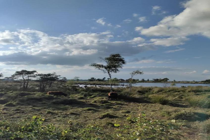 Grande Large - foto 27