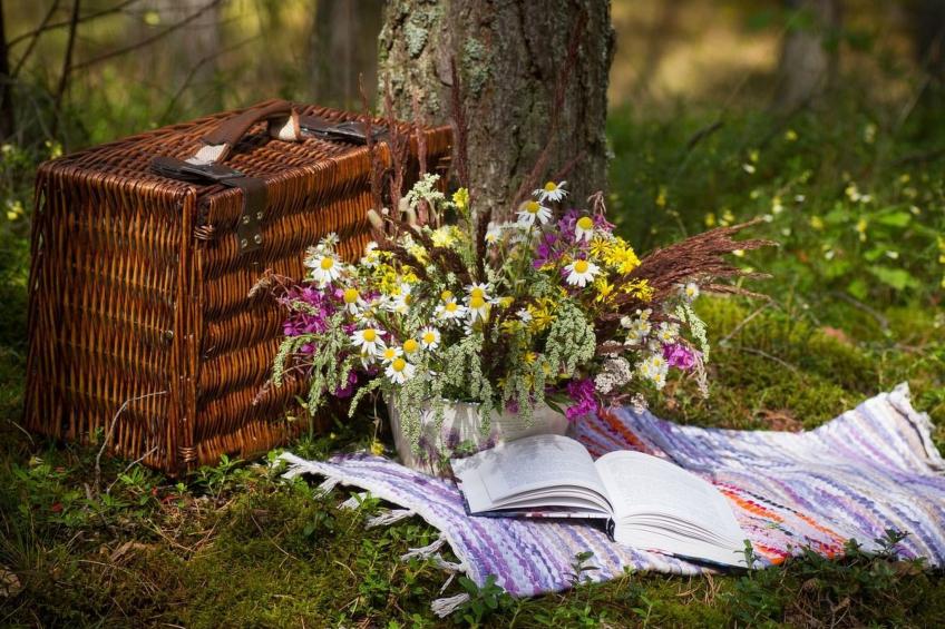 Ferienzimmer in Tolasudolsa Zimmer Frühstück - foto 14