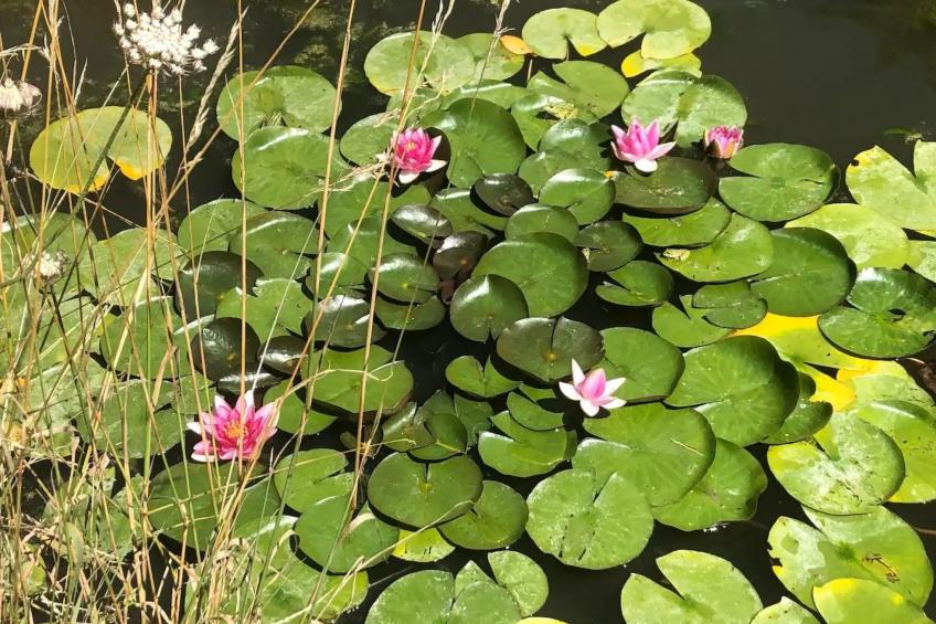 Landhaus mit eingezäuntem Garten - foto 20