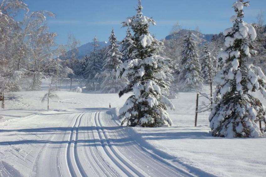 Appartement in Sigiswang mit Terrasse - foto 18