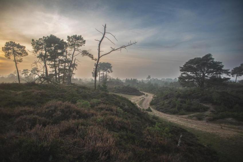 Maison de vacances - QUERRIEN - foto 37