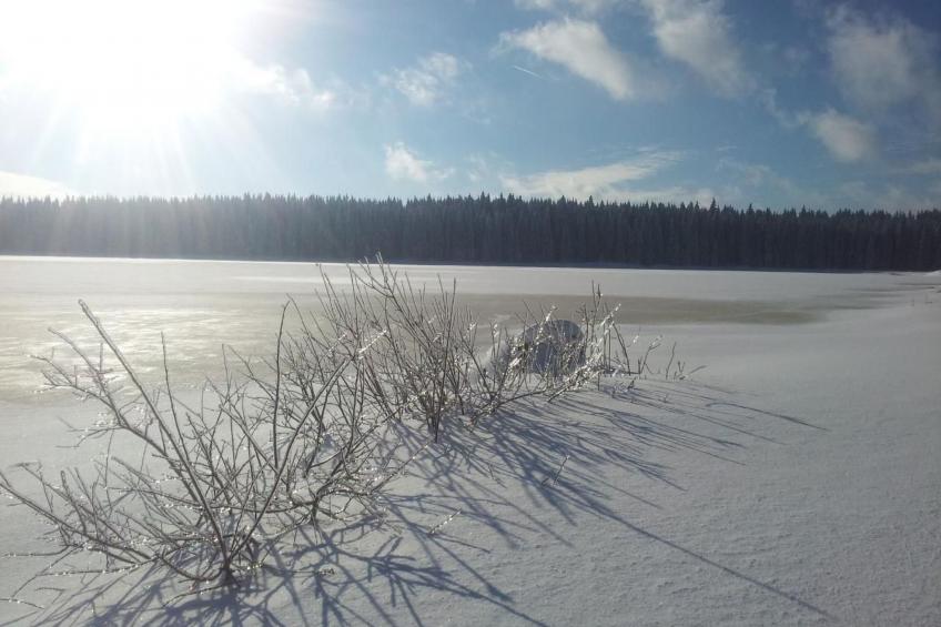 Fewo "Auersberg" WGH - foto 15