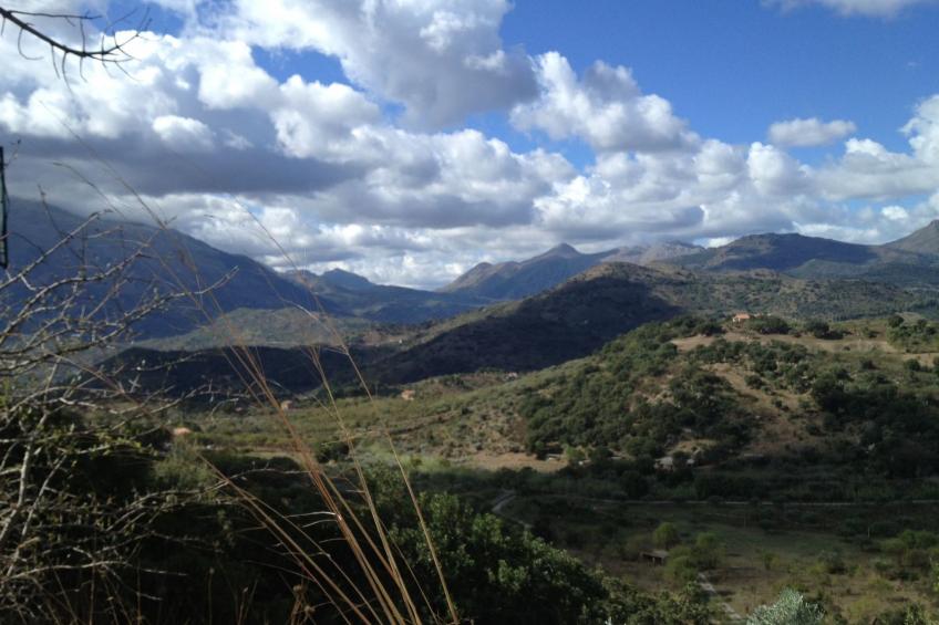 Behagliches Ferienhaus mit Garten inmitten eines - foto 13