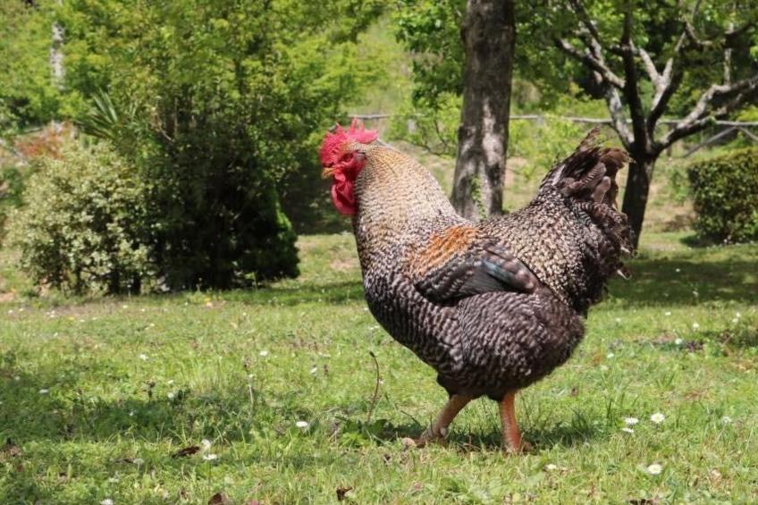 Wohnung 'Huts 3' mit Wasserblick - foto 27