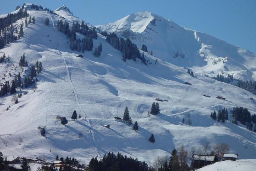 Appartement Eggmatte - foto 4