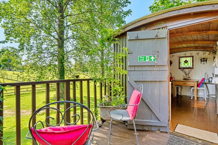 Shepherd's Hut at Hilltop Farm - foto 30
