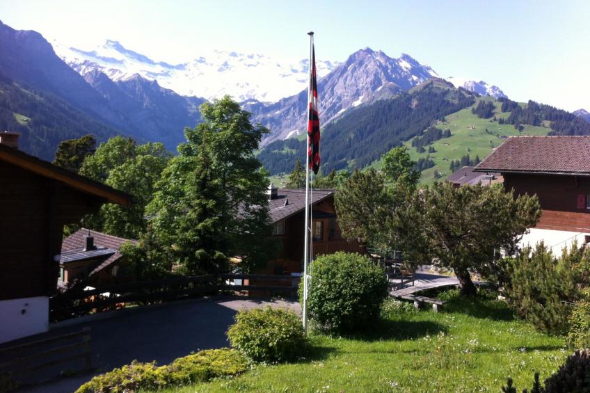 Krebs - foto 5