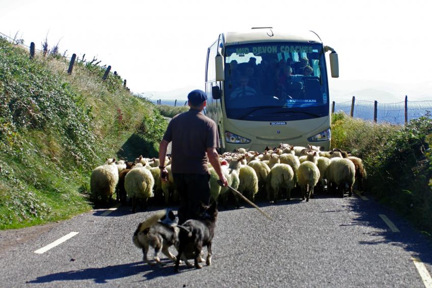 Dingle Bay View (TR2) - foto 5
