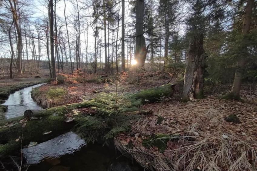 FH PremiumLodge Plus-4Erw und 2 Ki 4-11 - foto 33