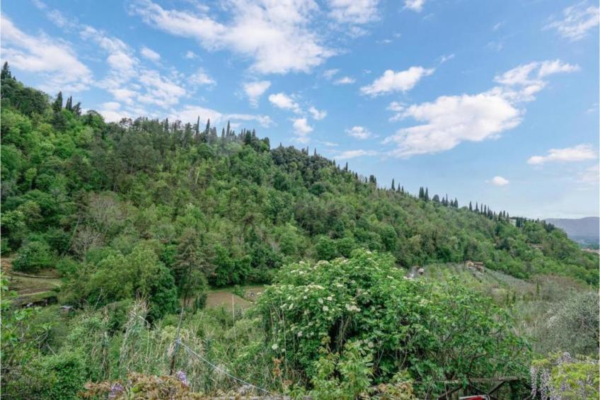 Podere Pulicciano Orciaia - foto 36