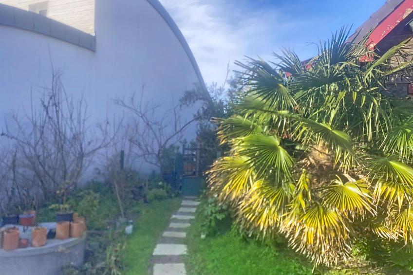 Le Nautilus - foto 4