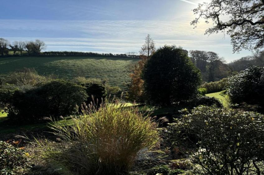 Oak Tree Lodge - foto 12