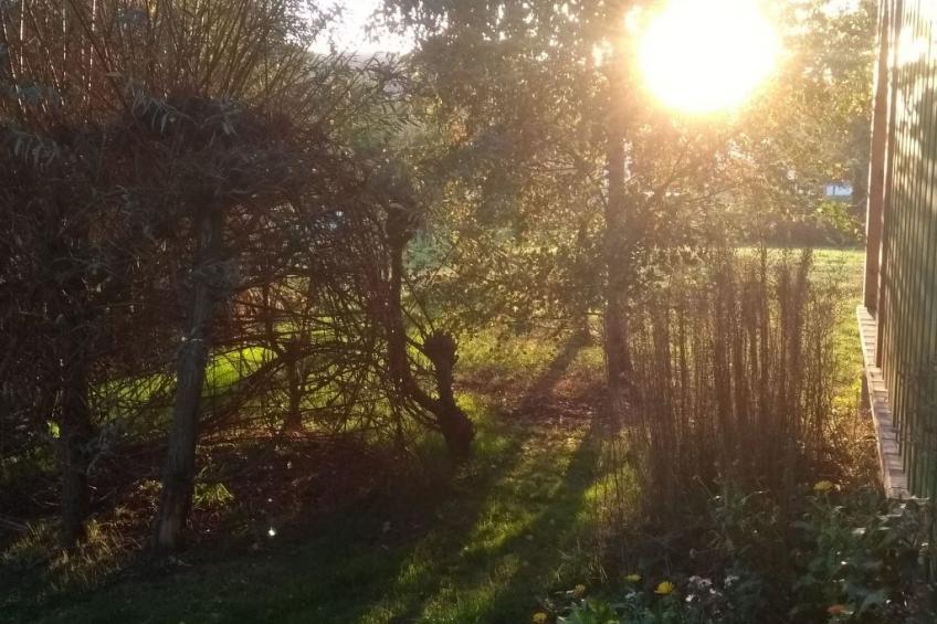 Urlaub Zirkuswagen - foto 11