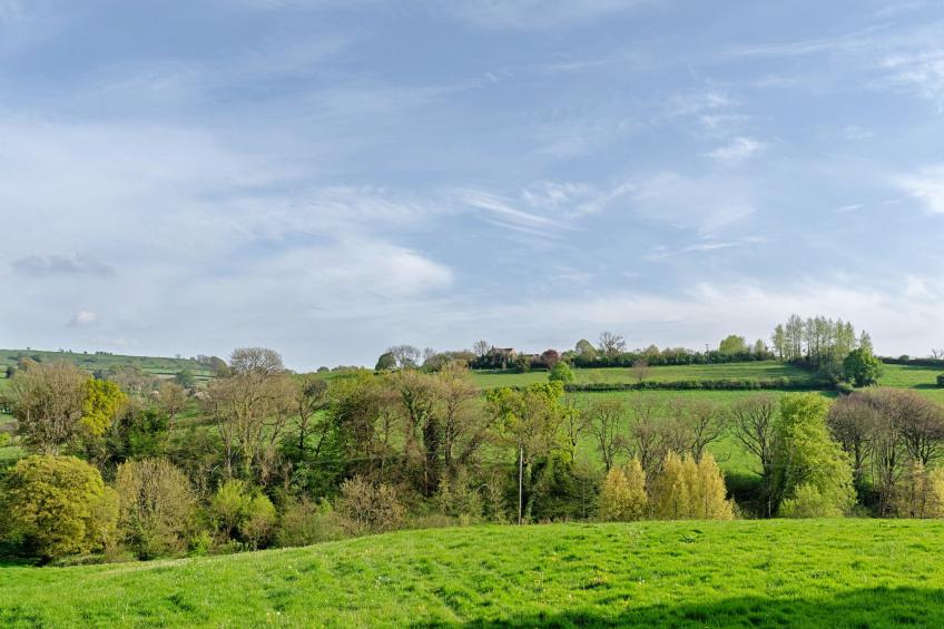 Greenhills Cottage - foto 15