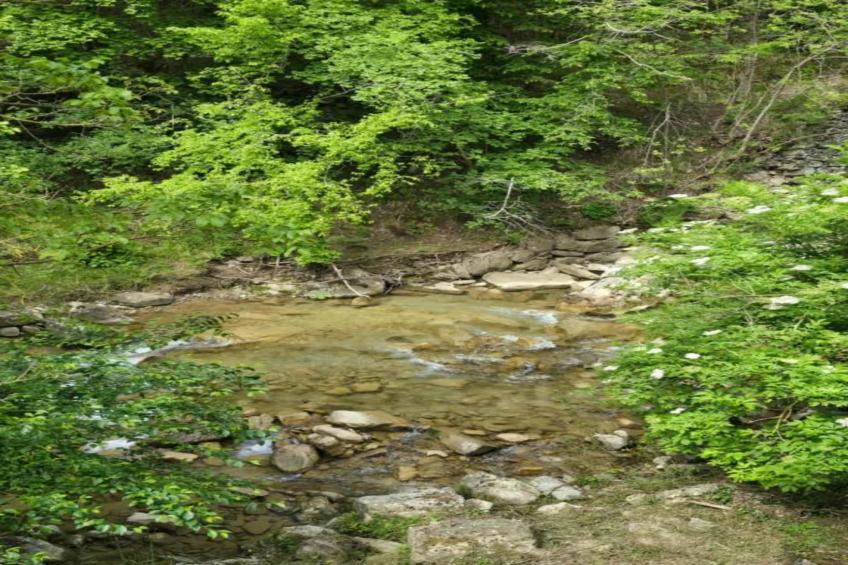 Casa Carlotta - foto 40