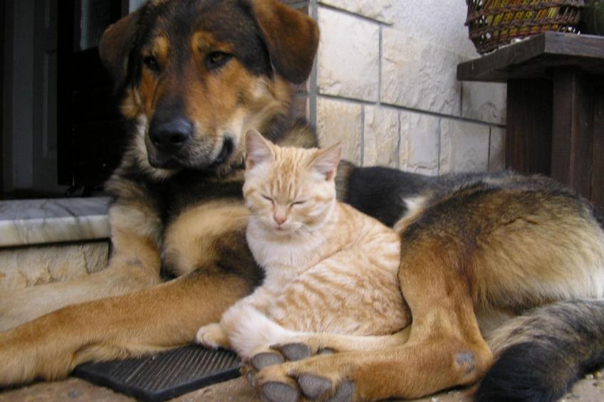 mit Terrasse - foto 25