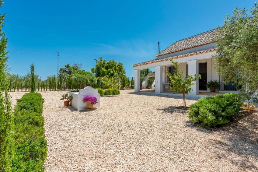 Hacienda San Antonio - foto 82